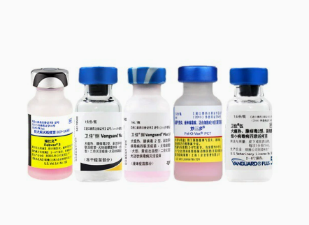 疫苗冷链不干胶标签